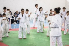 Festival E Torneio De Karate-Do Para Crianças E Exame De FaixasAssociação Shizuoka Goju-Kan Do Brasil