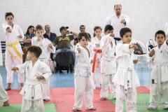 Festival E Torneio De Karate-Do Para Crianças E Exame De FaixasAssociação Shizuoka Goju-Kan Do Brasil