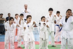 Festival E Torneio De Karate-Do Para Crianças E Exame De FaixasAssociação Shizuoka Goju-Kan Do Brasil