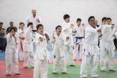 Festival E Torneio De Karate-Do Para Crianças E Exame De FaixasAssociação Shizuoka Goju-Kan Do Brasil