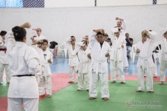 Festival E Torneio De Karate-Do Para Crianças E Exame De FaixasAssociação Shizuoka Goju-Kan Do Brasil