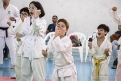 Festival E Torneio De Karate-Do Para Crianças E Exame De FaixasAssociação Shizuoka Goju-Kan Do Brasil