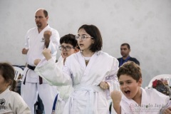 Festival E Torneio De Karate-Do Para Crianças E Exame De FaixasAssociação Shizuoka Goju-Kan Do Brasil