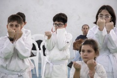 Festival E Torneio De Karate-Do Para Crianças E Exame De FaixasAssociação Shizuoka Goju-Kan Do Brasil