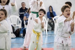 Festival E Torneio De Karate-Do Para Crianças E Exame De FaixasAssociação Shizuoka Goju-Kan Do Brasil