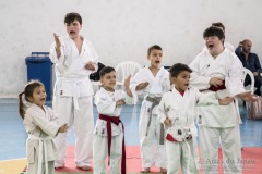 Festival E Torneio De Karate-Do Para Crianças E Exame De FaixasAssociação Shizuoka Goju-Kan Do Brasil