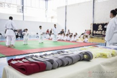 Festival E Torneio De Karate-Do Para Crianças E Exame De FaixasAssociação Shizuoka Goju-Kan Do Brasil