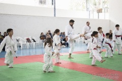 Festival E Torneio De Karate-Do Para Crianças E Exame De FaixasAssociação Shizuoka Goju-Kan Do Brasil