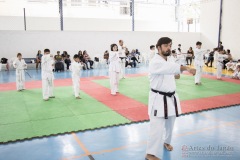 Festival E Torneio De Karate-Do Para Crianças E Exame De FaixasAssociação Shizuoka Goju-Kan Do Brasil