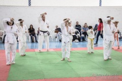 Festival E Torneio De Karate-Do Para Crianças E Exame De FaixasAssociação Shizuoka Goju-Kan Do Brasil