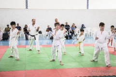 Festival E Torneio De Karate-Do Para Crianças E Exame De FaixasAssociação Shizuoka Goju-Kan Do Brasil