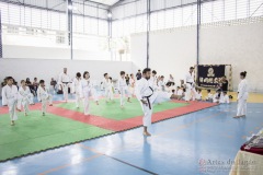 Festival E Torneio De Karate-Do Para Crianças E Exame De FaixasAssociação Shizuoka Goju-Kan Do Brasil