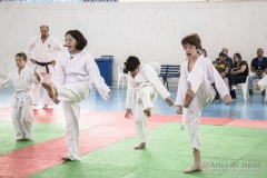 Festival E Torneio De Karate-Do Para Crianças E Exame De FaixasAssociação Shizuoka Goju-Kan Do Brasil