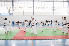 Festival E Torneio De Karate-Do Para Crianças E Exame De FaixasAssociação Shizuoka Goju-Kan Do Brasil