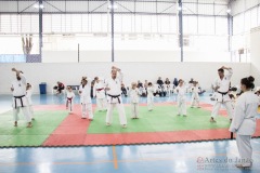 Festival E Torneio De Karate-Do Para Crianças E Exame De FaixasAssociação Shizuoka Goju-Kan Do Brasil