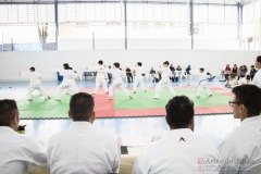 Festival E Torneio De Karate-Do Para Crianças E Exame De FaixasAssociação Shizuoka Goju-Kan Do Brasil