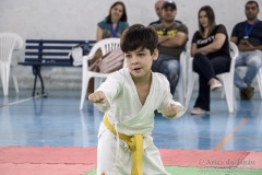 Festival E Torneio De Karate-Do Para Crianças E Exame De FaixasAssociação Shizuoka Goju-Kan Do Brasil