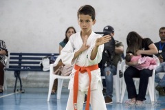 Festival E Torneio De Karate-Do Para Crianças E Exame De FaixasAssociação Shizuoka Goju-Kan Do Brasil