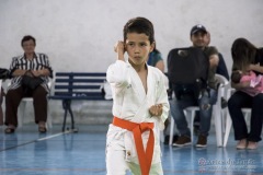 Festival E Torneio De Karate-Do Para Crianças E Exame De FaixasAssociação Shizuoka Goju-Kan Do Brasil