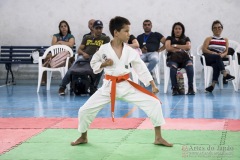 Festival E Torneio De Karate-Do Para Crianças E Exame De FaixasAssociação Shizuoka Goju-Kan Do Brasil