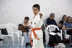 Festival E Torneio De Karate-Do Para Crianças E Exame De FaixasAssociação Shizuoka Goju-Kan Do Brasil