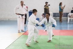 Festival E Torneio De Karate-Do Para Crianças E Exame De FaixasAssociação Shizuoka Goju-Kan Do Brasil