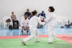 Festival E Torneio De Karate-Do Para Crianças E Exame De FaixasAssociação Shizuoka Goju-Kan Do Brasil