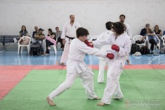 Festival E Torneio De Karate-Do Para Crianças E Exame De FaixasAssociação Shizuoka Goju-Kan Do Brasil