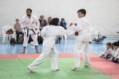 Festival E Torneio De Karate-Do Para Crianças E Exame De FaixasAssociação Shizuoka Goju-Kan Do Brasil