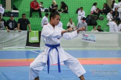 IV Copa Sensei José André Ferreira