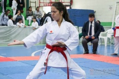 IV Copa Sensei José André Ferreira