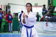 IV Copa Sensei José André Ferreira