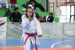 IV Copa Sensei José André Ferreira