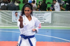 IV Copa Sensei José André Ferreira