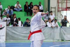 IV Copa Sensei José André Ferreira