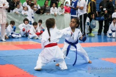 IV Copa Sensei José André Ferreira