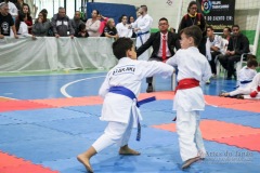 IV Copa Sensei José André Ferreira