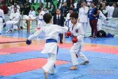 IV Copa Sensei José André Ferreira