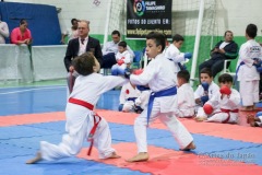 IV Copa Sensei José André Ferreira