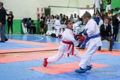 IV Copa Sensei José André Ferreira