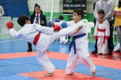 IV Copa Sensei José André Ferreira