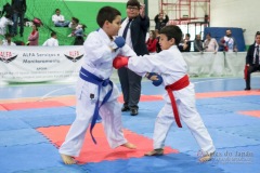 IV Copa Sensei José André Ferreira