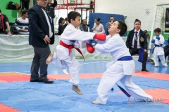 IV Copa Sensei José André Ferreira