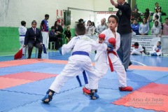 IV Copa Sensei José André Ferreira