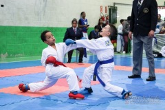 IV Copa Sensei José André Ferreira