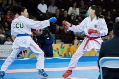 AdJ_Karate-Into-The-Olympics_00357