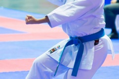 AdJ_Karate-Into-The-Olympics_00853