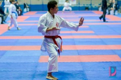 AdJ_Karate-Into-The-Olympics_00866