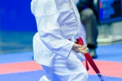 AdJ_Karate-Into-The-Olympics_00869