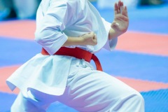 AdJ_Karate-Into-The-Olympics_00879